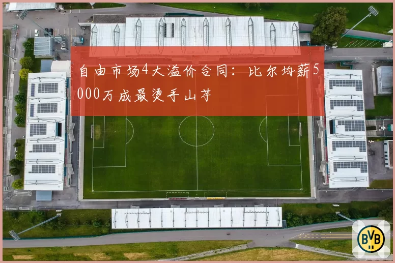 自由市场4大溢价合同:比尔均薪5000万成最烫手山芋