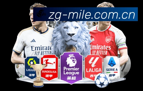 米乐M6 Sports 官方视觉图